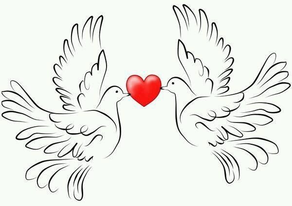 Свадебные голуби