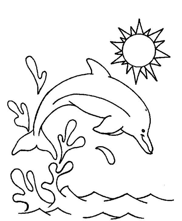 Раскраска Дельфин