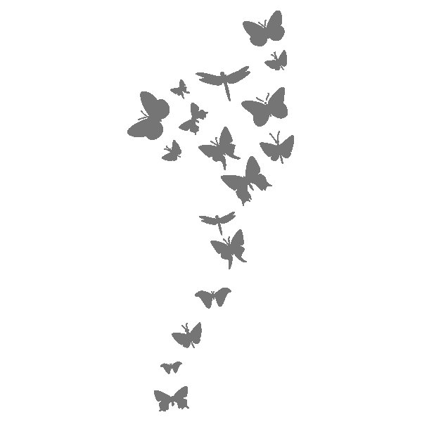 Трафарет бабочки на стену под покраску