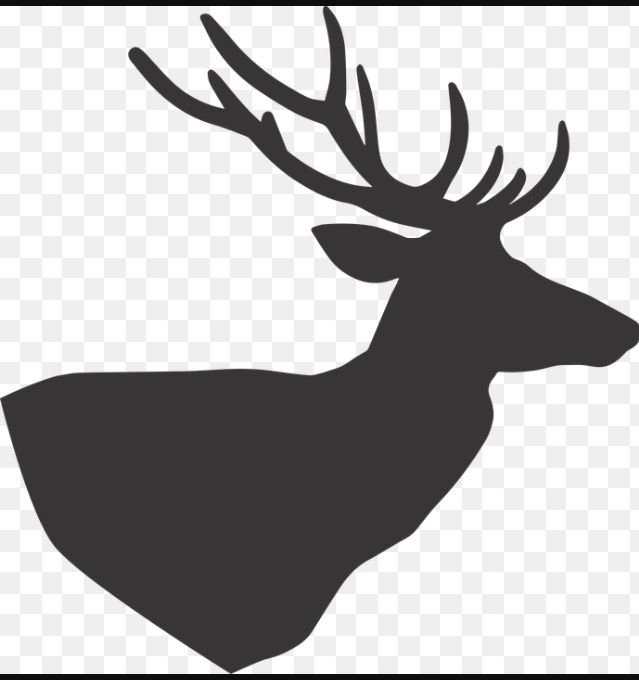 Силуэт оленя