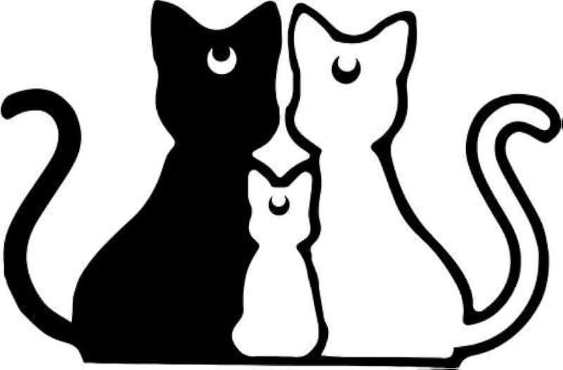 Контур кошки