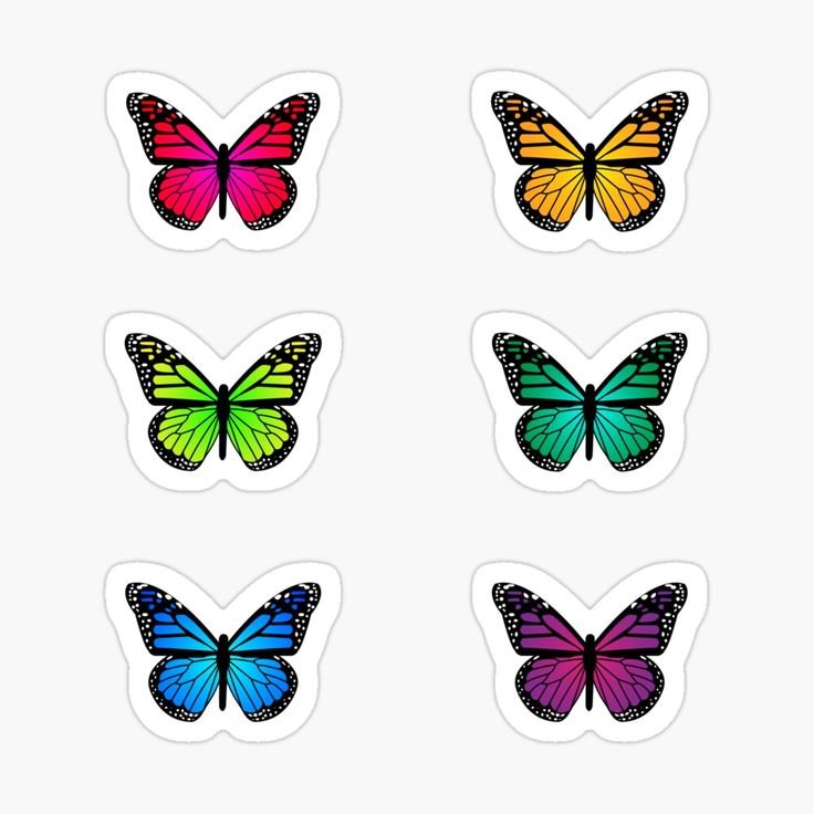 Трафареты бабочек для декора