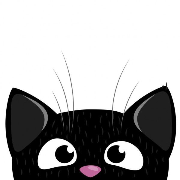 Кошка выглядывает