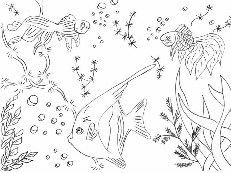 Аквариумные рыбки раскраска