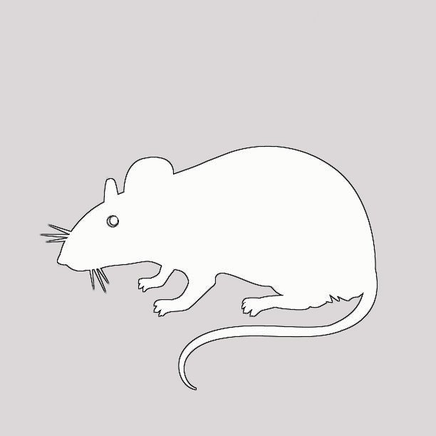 Крыса трафарет