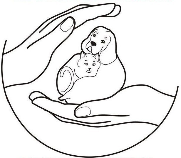 Защита животных раскраска