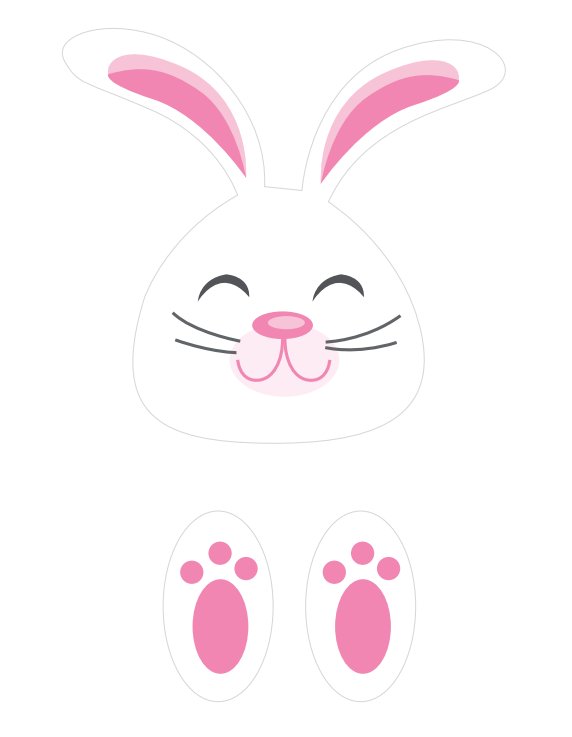 Мордочка и лапкищайчика