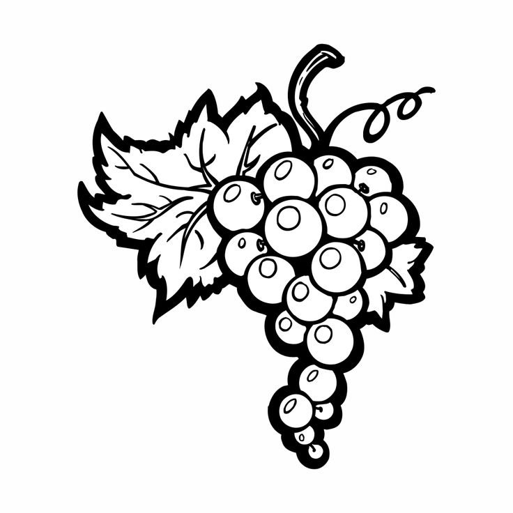 Виноград рисунок