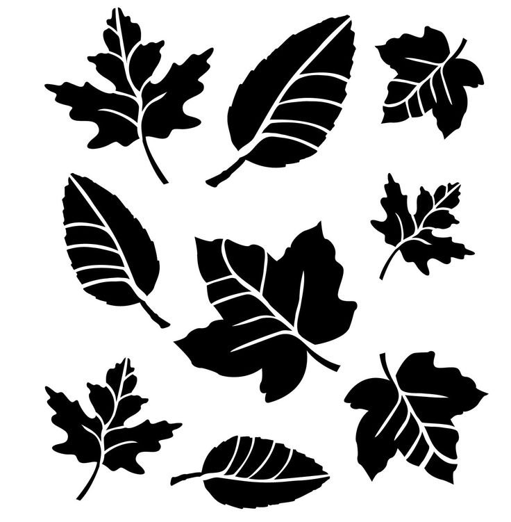 Трафареты "листья"