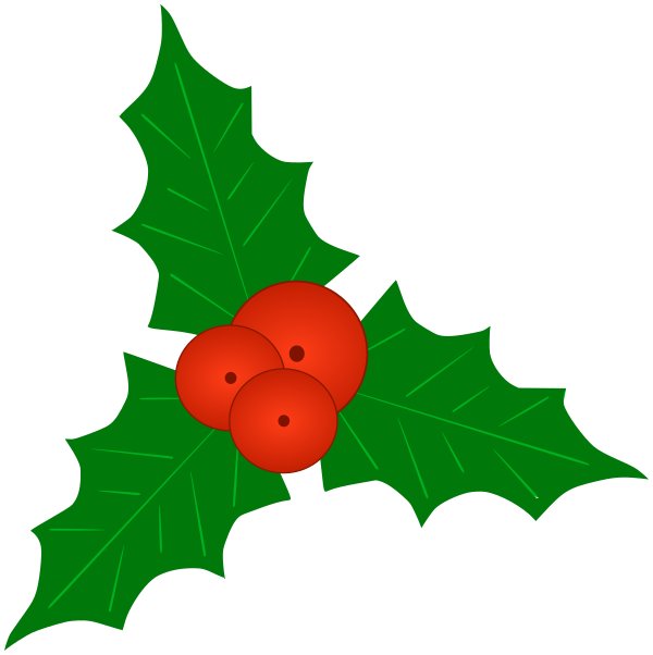 Остролист – Holly