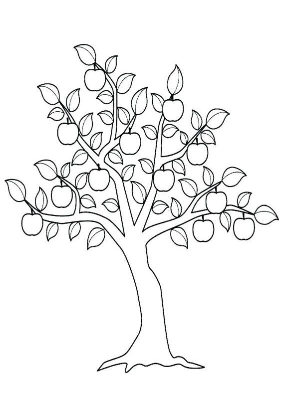 Дерево раскраска для детей