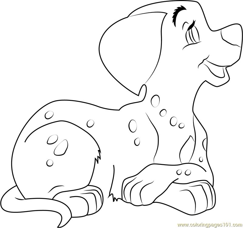 Далматинец раскраска для детей без пятен