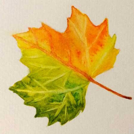Листья красками