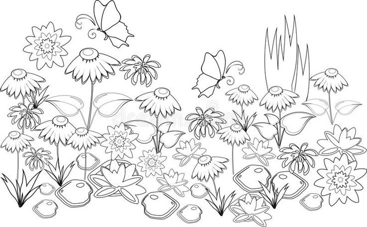 Раскраска цветы на Поляне