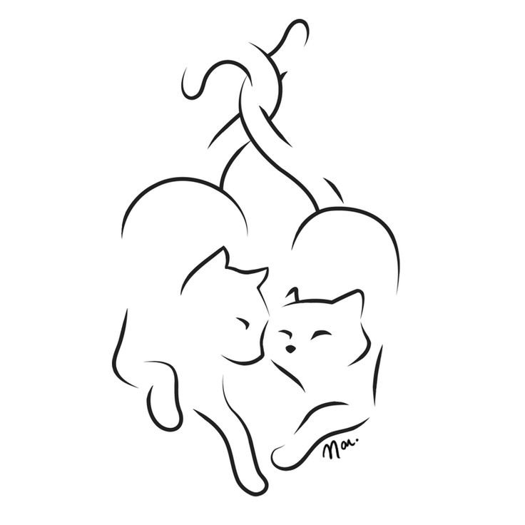 Контур кошки