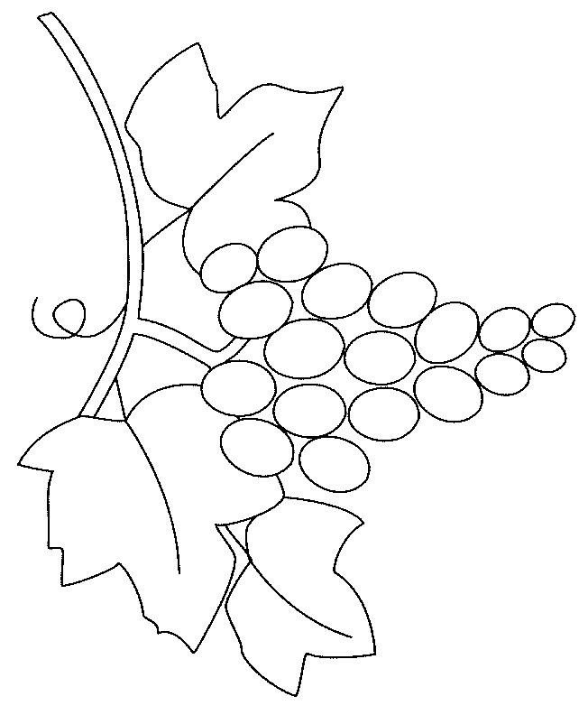 Пластилинография ветка винограда