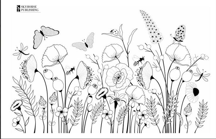 Полевые цветы раскраска для детей