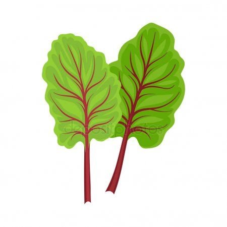 Листья свеклы шаблон