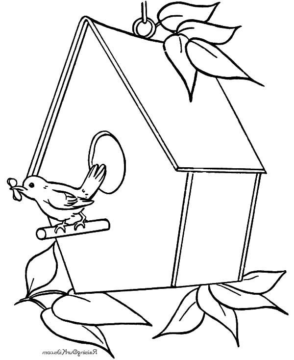 Раскраска домик кормушка для птицы