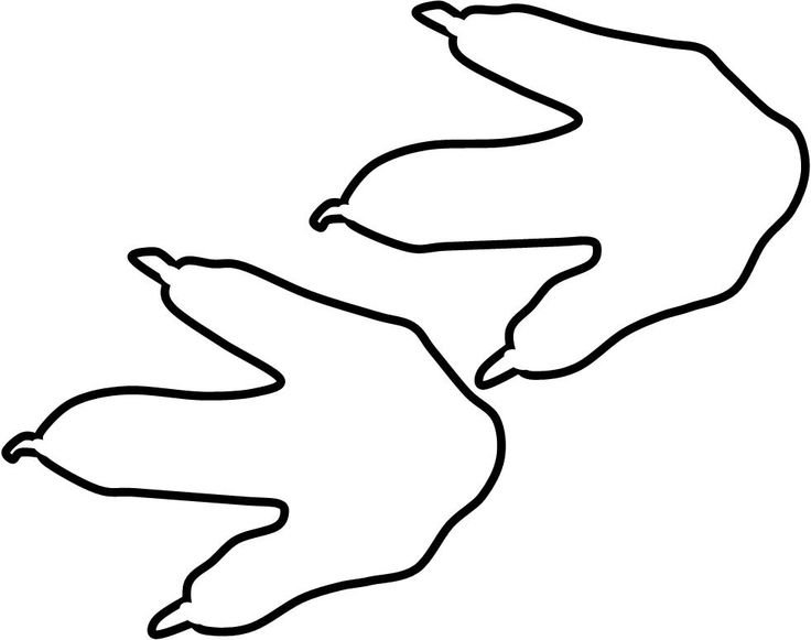 Следы динозавров