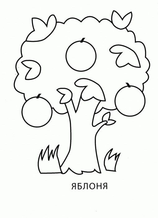 Яблоня раскраска