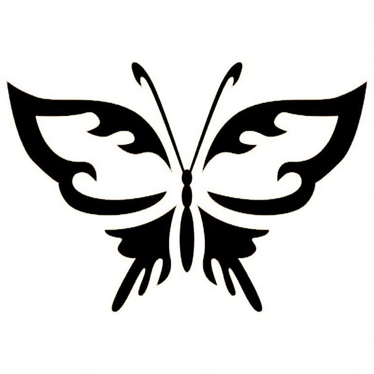 Трафареты бабочек для декора
