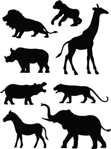 Тени животных