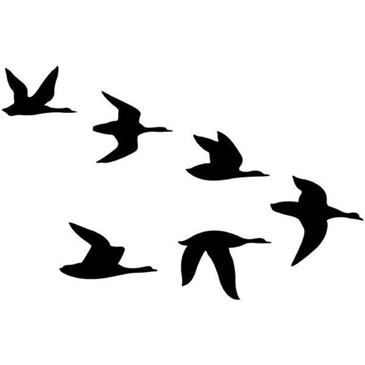 Трафарет птицы