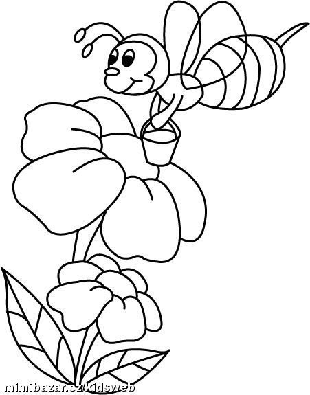 Пчела раскраска для детей