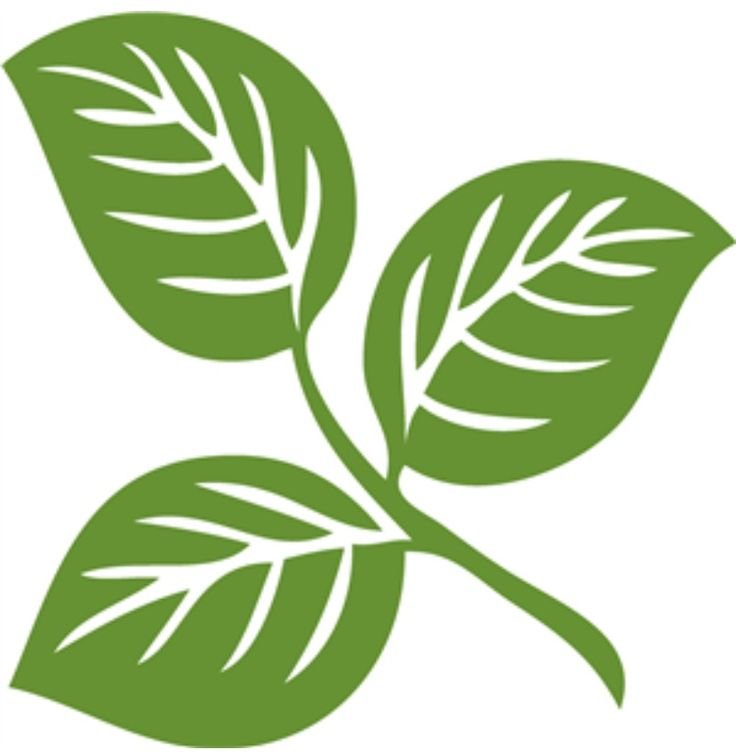 Стилизованные листья