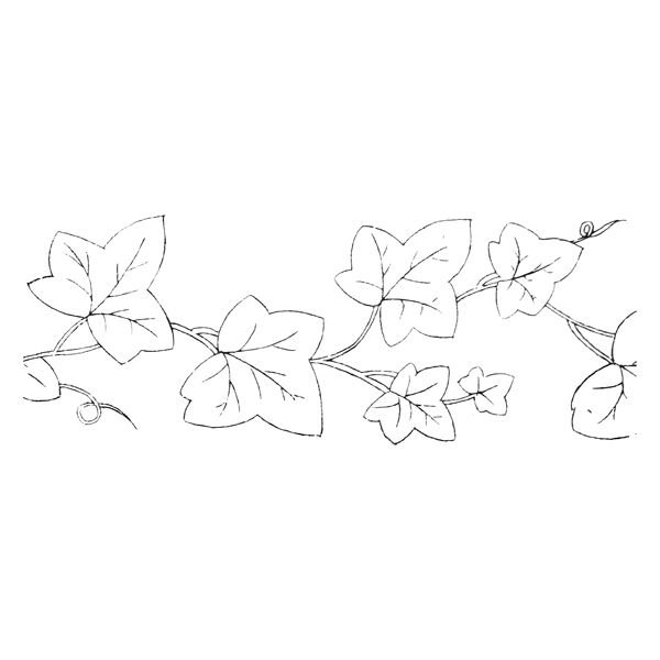 Трафарет плющ