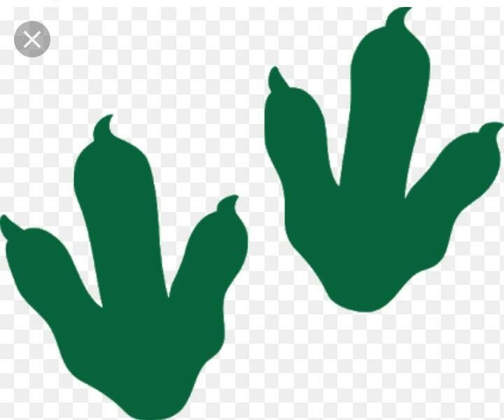 Отпечаток лапы динозавра