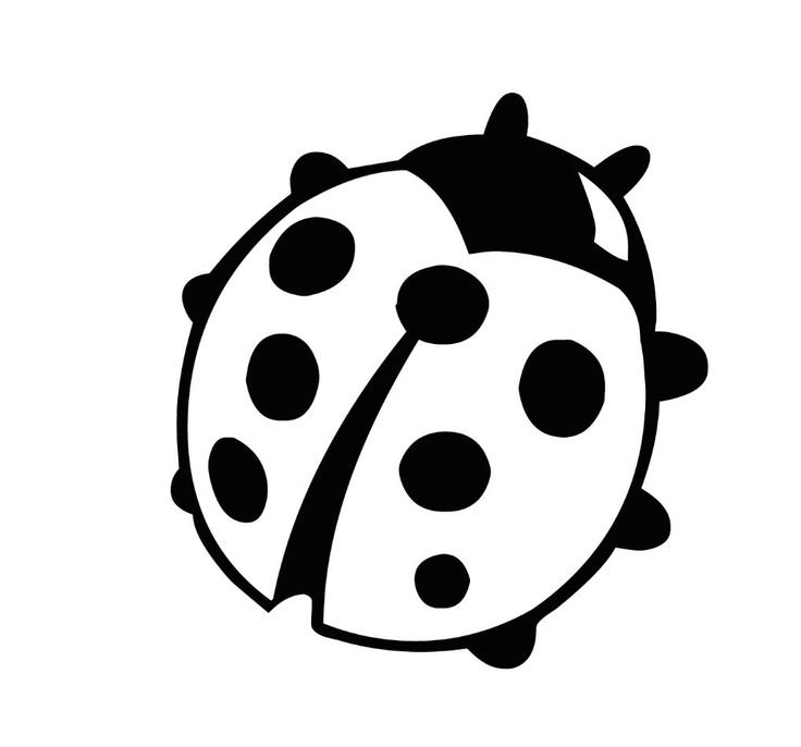 Божья коровка картинка для детей раскраска