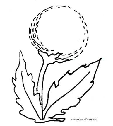 Трафарет одуванчик для детей для рисования