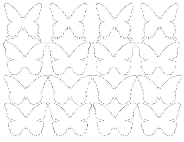 Трафареты бабочек для декора