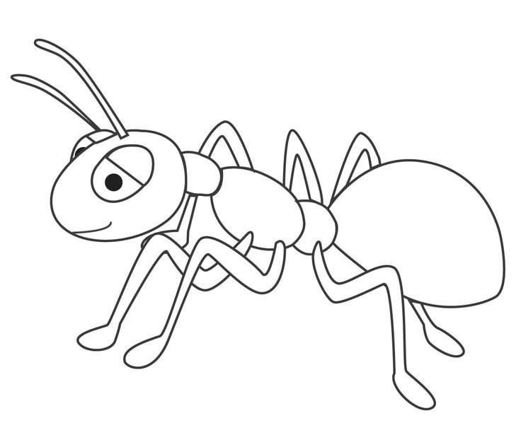 Муравей раскраска