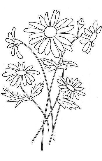 Цветы эскиз для вышивки