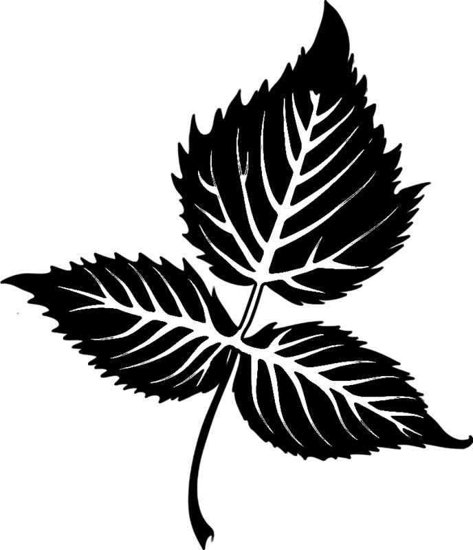 Трафарет листочка