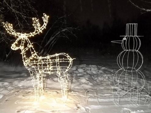 Каркас оленя