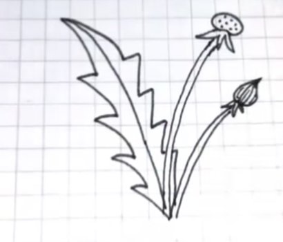 Листик одуванчика шаблон