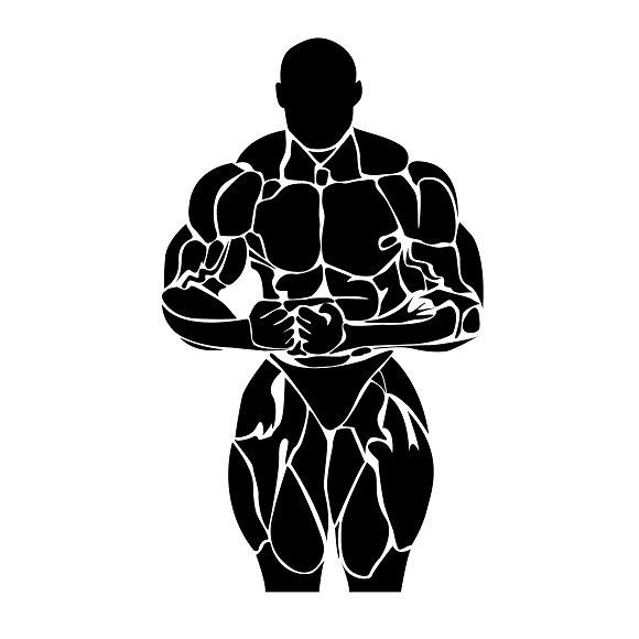 Силуэт бодибилдера