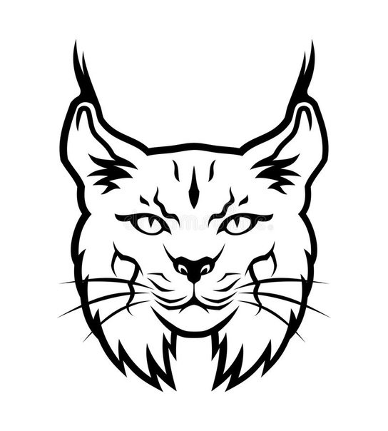 Рысь Графика