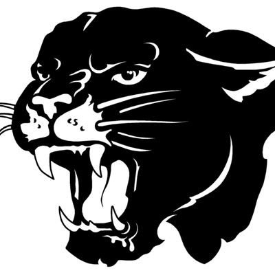 Силуэт пантеры