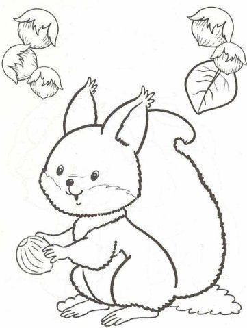 Белка раскраска для детей