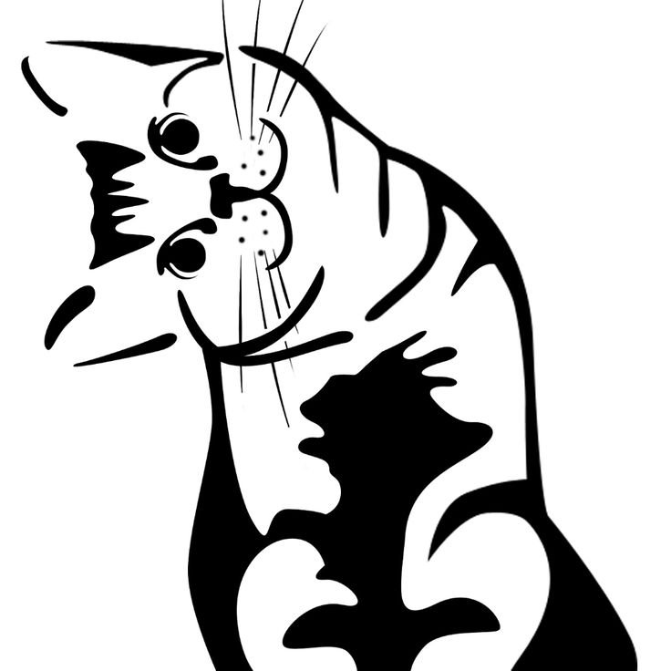 Трафарет кошки