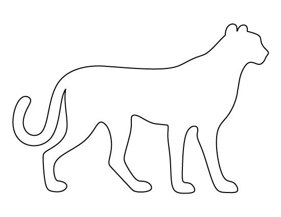 Контуры животных для рисования