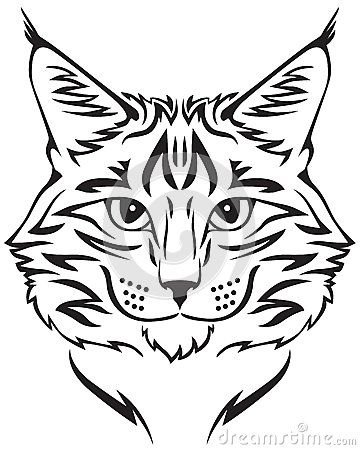 Морда кошки вектор