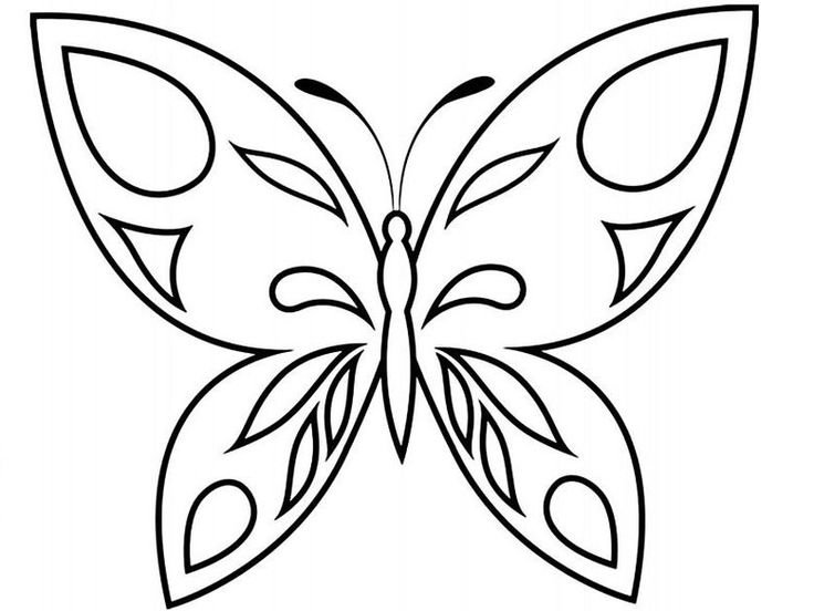 Трафареты бабочки