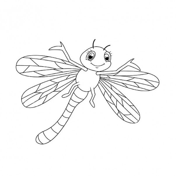 Стрекоза раскраска для малышей