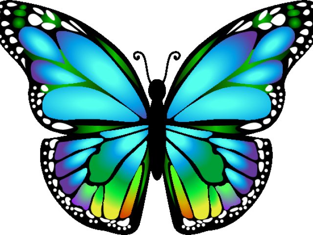 Красивые бабочки